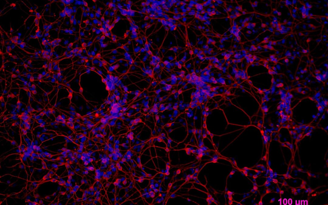 Bio-Computing and Artificial Intelligence: The Rise of Wetware and Living Machines